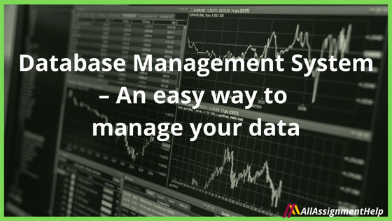Database-Management-System-–-An-Easy-Way-to-Manage-Your-Data