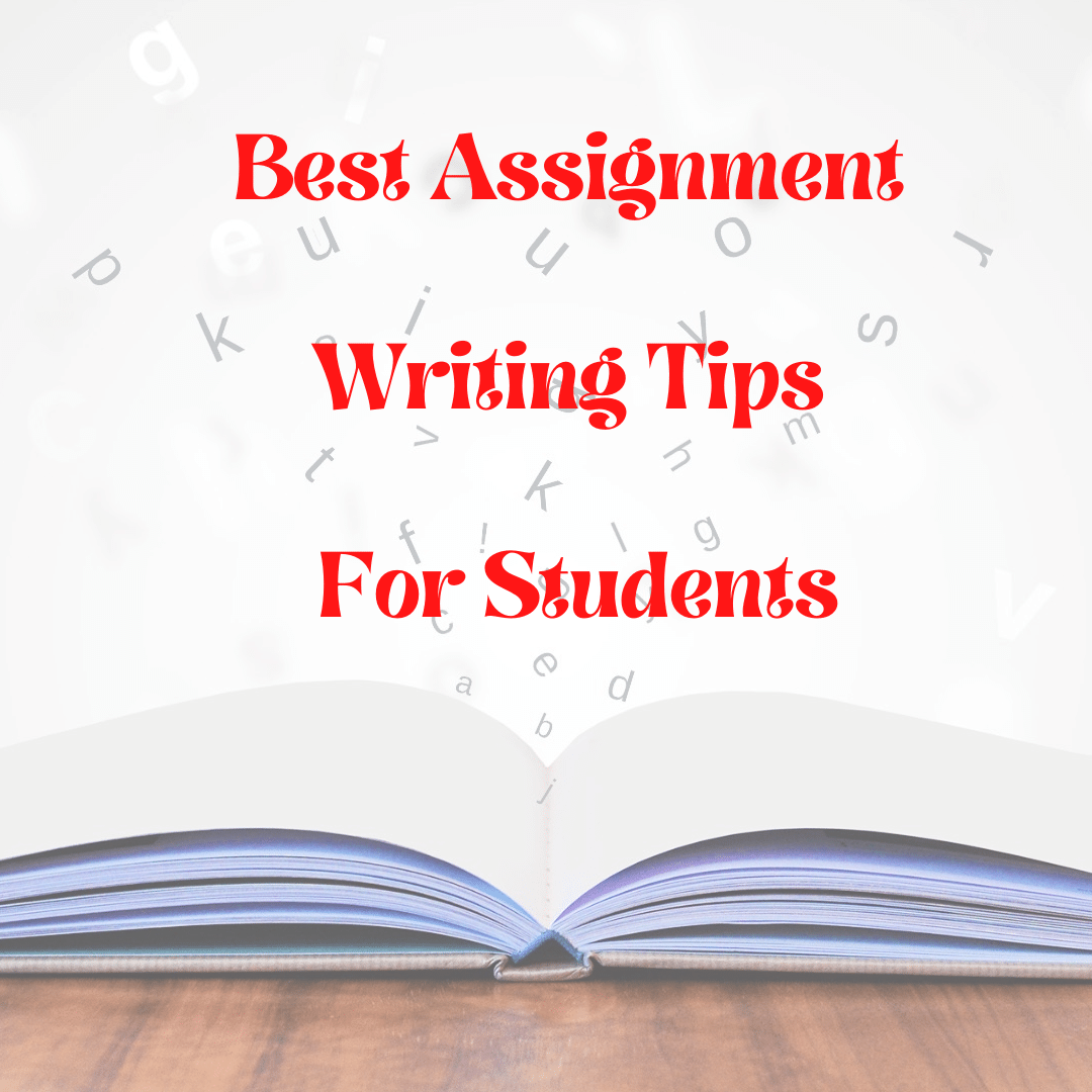 assignment nedir