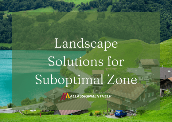 Landscape-Solutions-for-Suboptimal-Zone-1.png