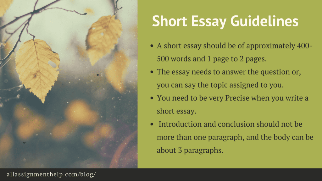 short-essay-guidelines