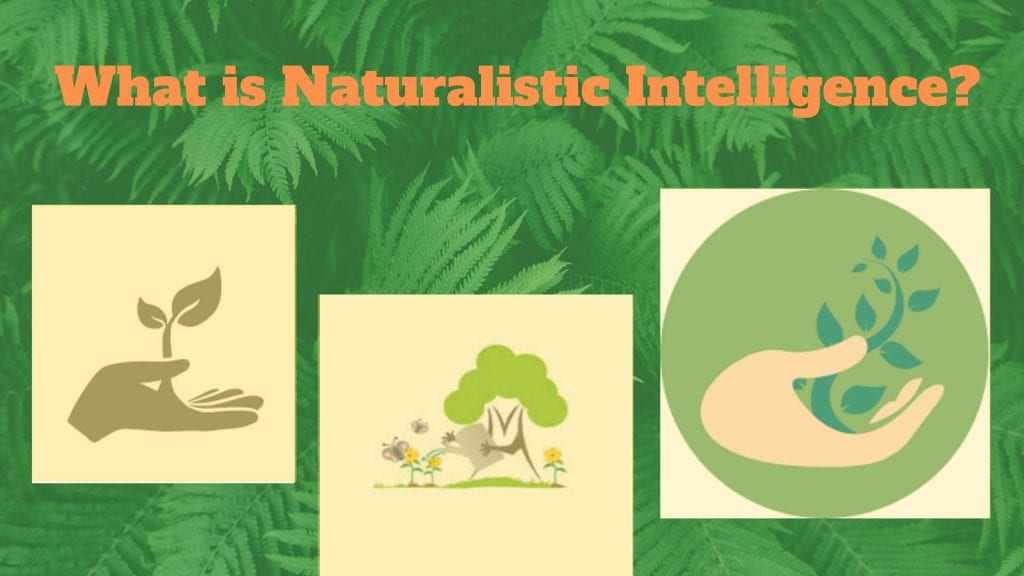 naturalist intelligence ( nature smart )