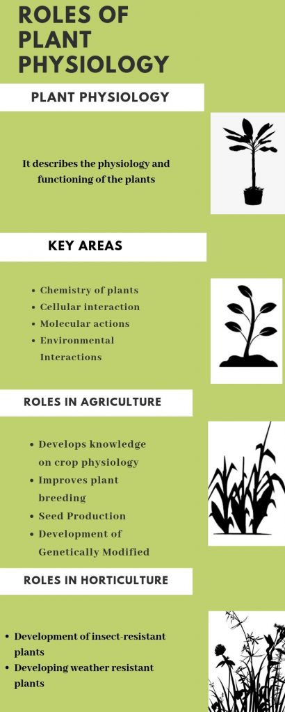 Role of Plant Physiology