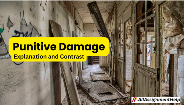 Punitive Damage Explanation and Contrast
