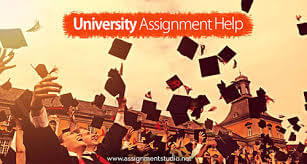 RMIT University assignmnet help