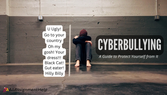 Cyberbullying as an online harassment issue
