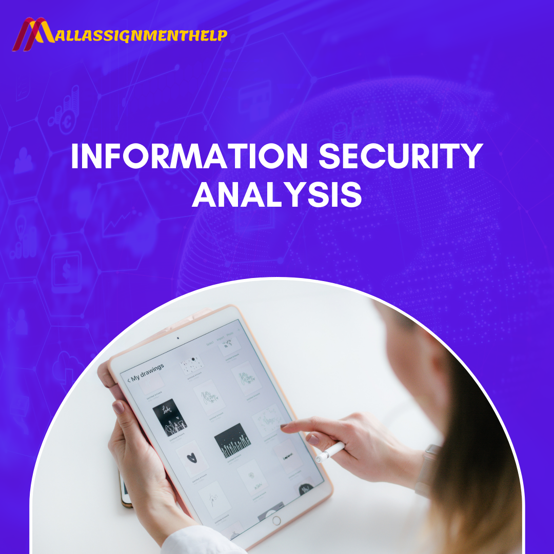 Information Security Analysis