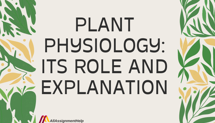 Plant Physiology: Its Role and Explanation