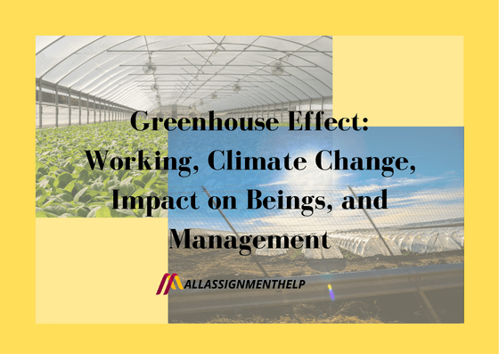 Greenhouse-Effect-Working-Climate-Change-Impact-on-Beings-and-Management