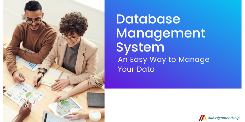 Database Management System - An Easy Way To Manage Your Data