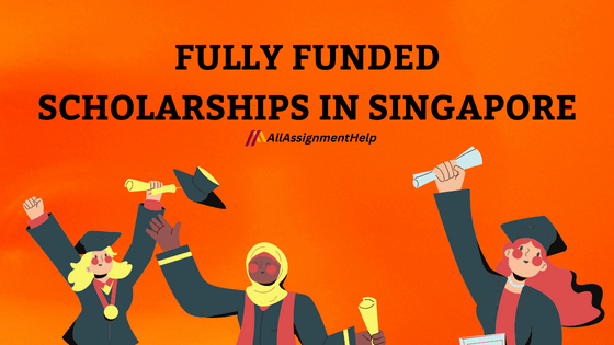 Scholarships in Singapore