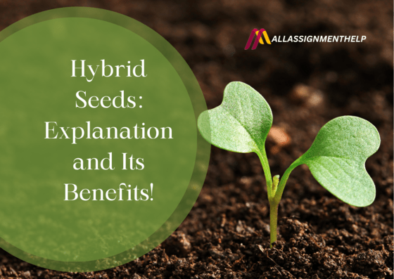 Hybrid-Seeds-Explanation