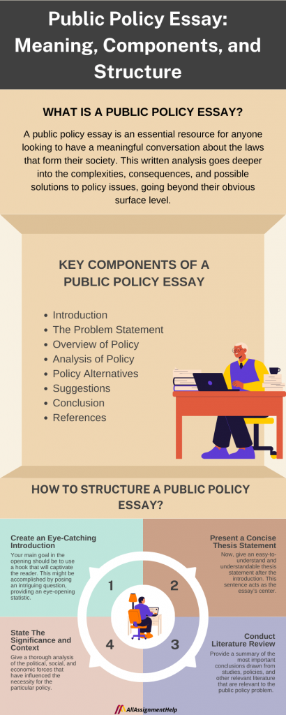 policy essay structure