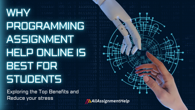 programming-assignment-help-online