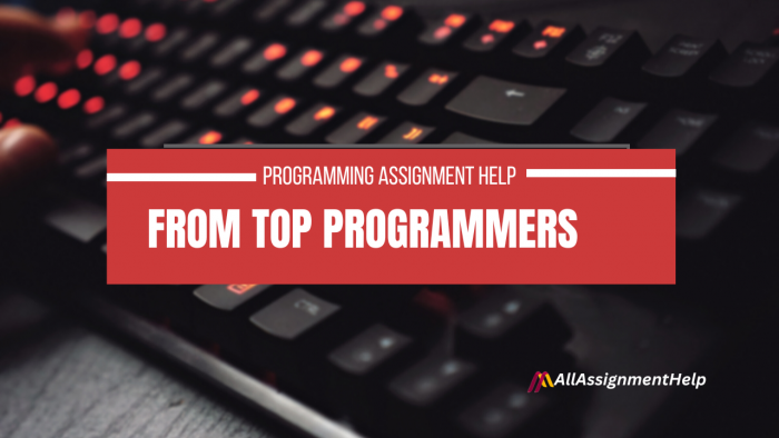programming-assignment-help