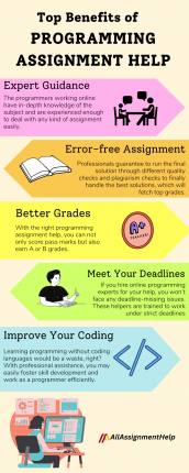 Programming Assignment Help: Expert Help at an Affordable Price